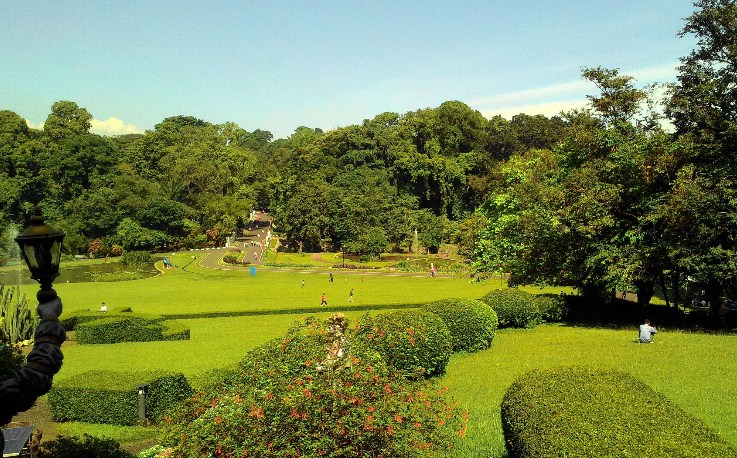 Harga Tiket Masuk Kebun Raya Bogor Terbaru - Trip Jalan Jalan