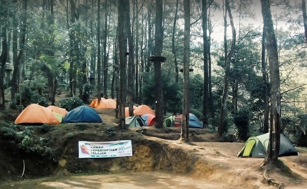 kampung pinus sarangan magetan